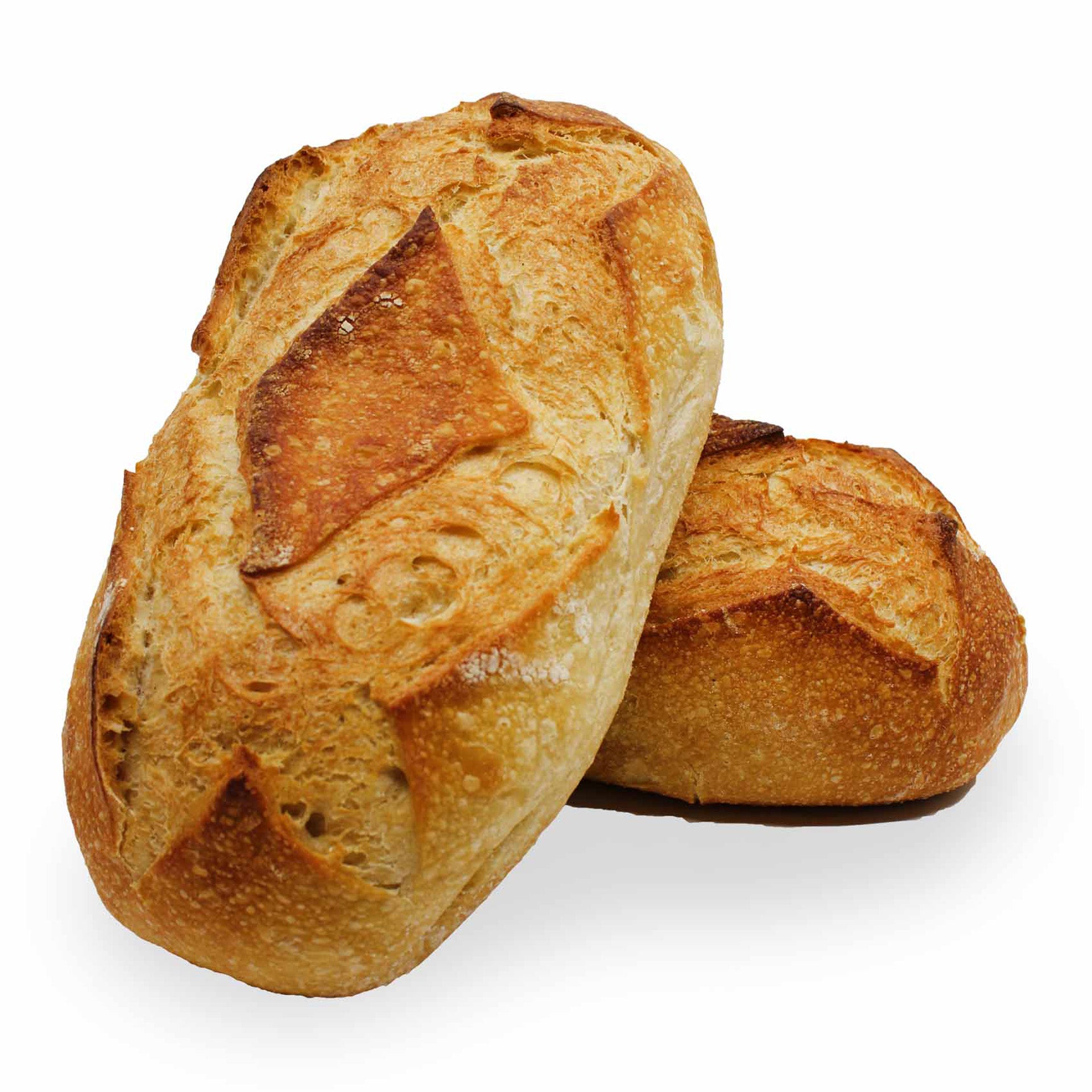 WHITE SOURDOUGH